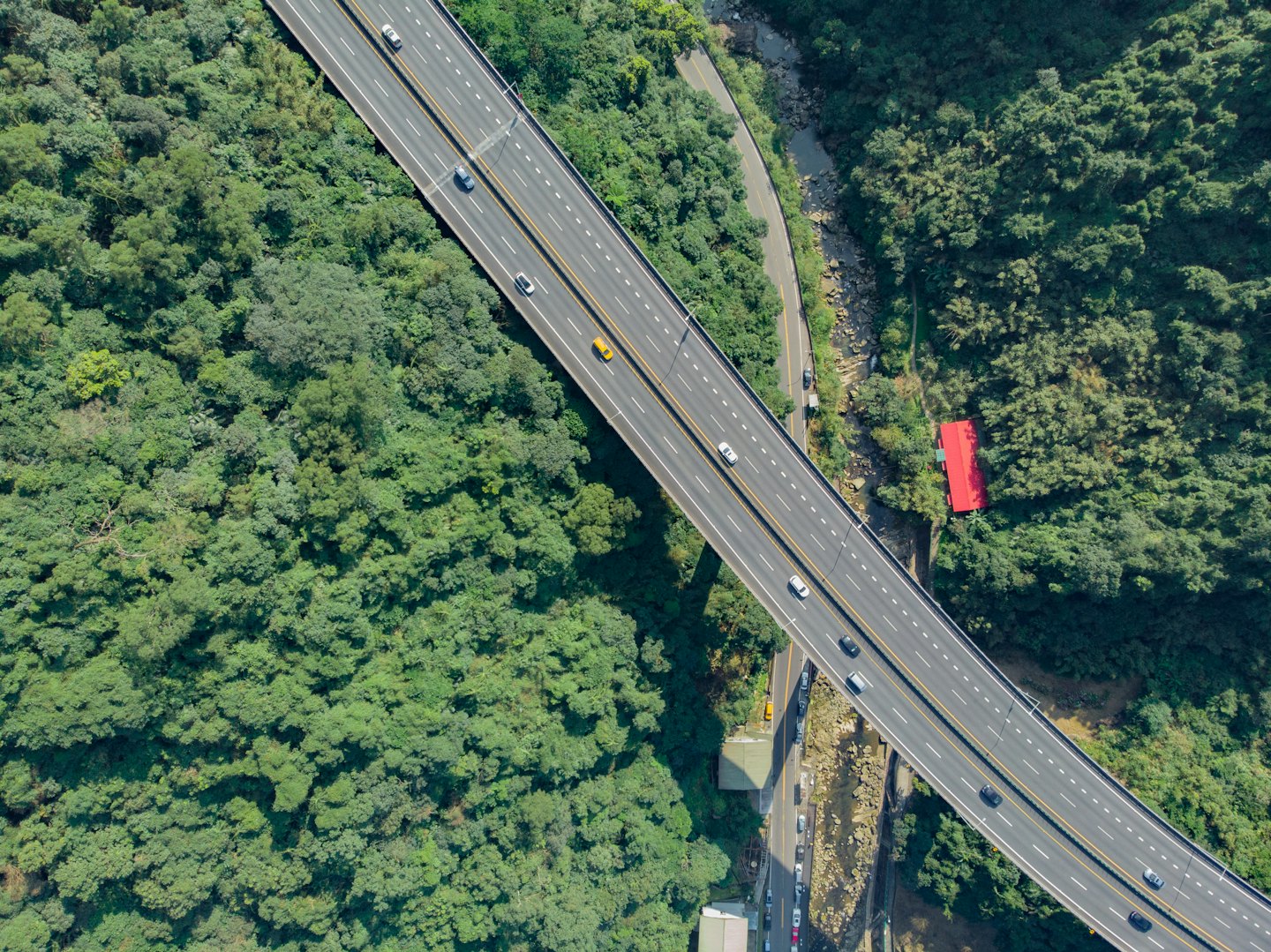 Un ponte autostradale curva attraverso la foresta sopra un fiume e una strada.