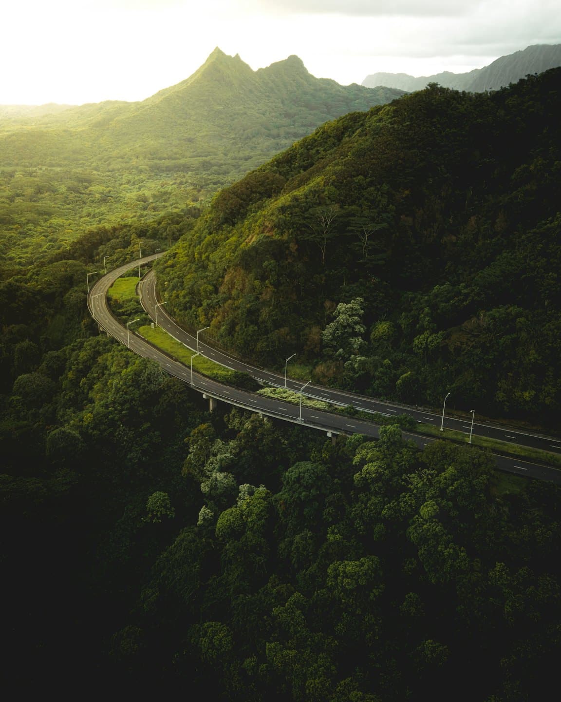 Una tortuosa autostrada serpeggia attraverso una fitta foresta montana verde.